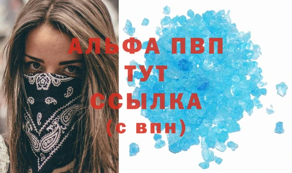 Альфа ПВП Аркадак