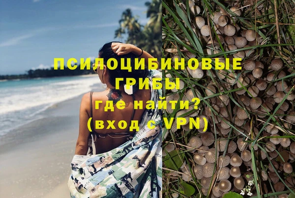 таблы Арсеньев